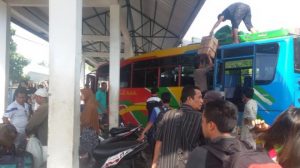 bus 1